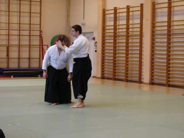 principe sans force - stage aikido 16 mai 2015